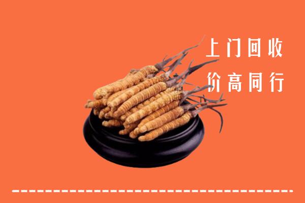 高价求购：安阳市文峰区回收散虫草