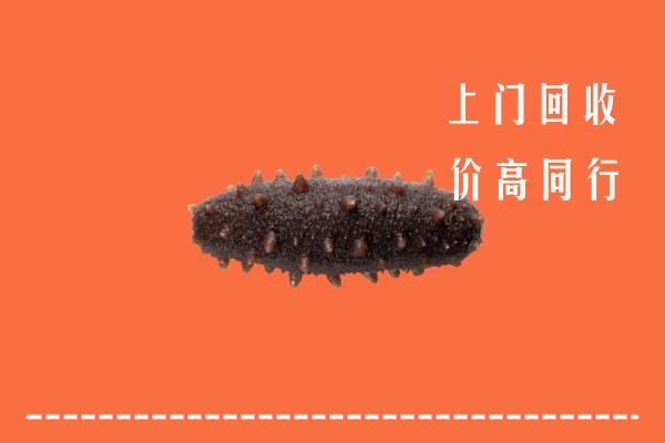安阳市文峰区回收海参