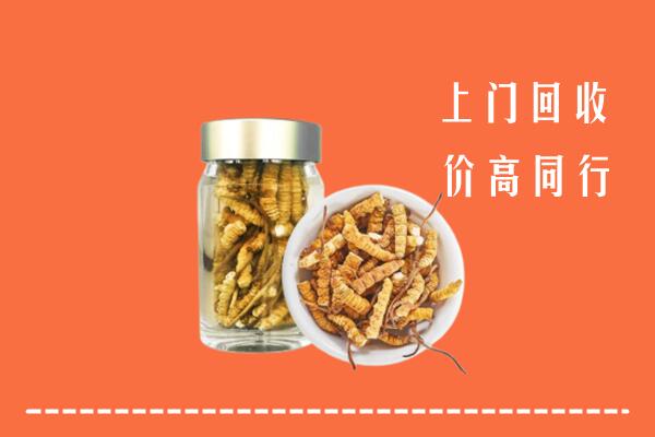 安阳市文峰区回收冬虫夏草